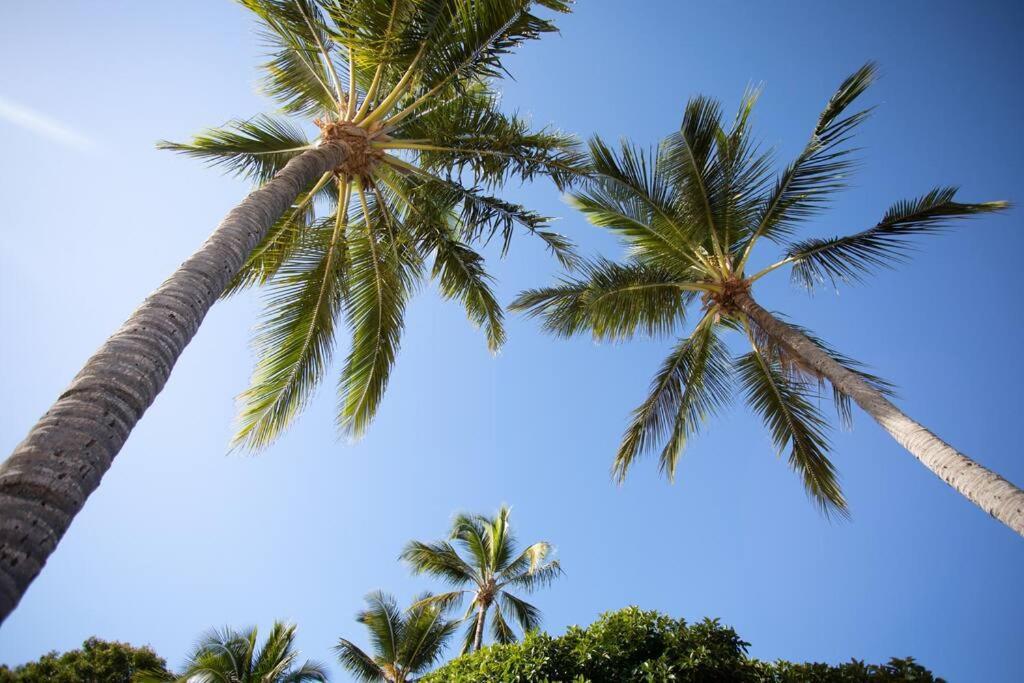 Airlie Sun & Sand Motel Accommodation #4 Ерлі-Біч Екстер'єр фото